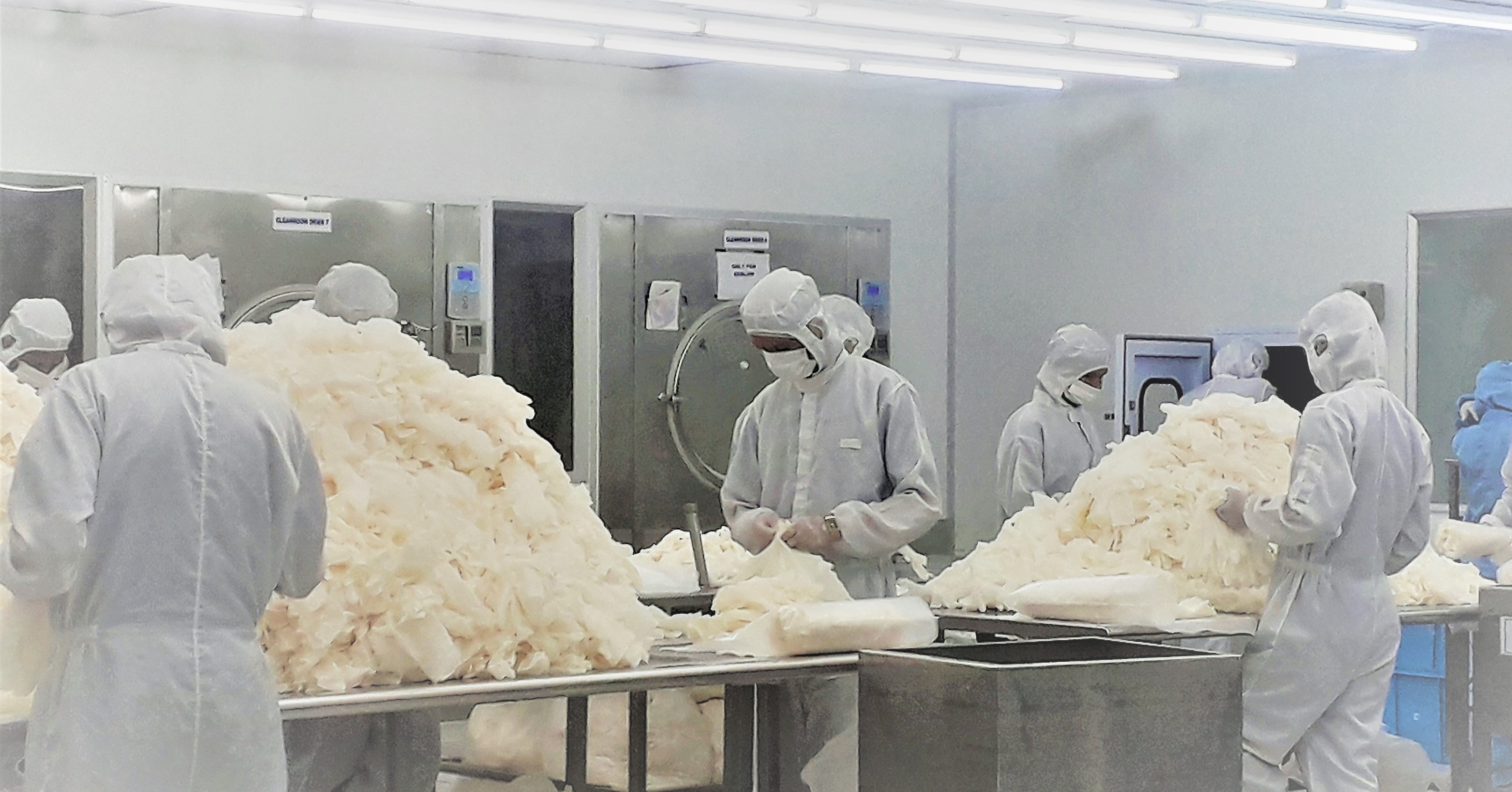 Critical Environments Considerations in Selecting Cleanroom Gloves